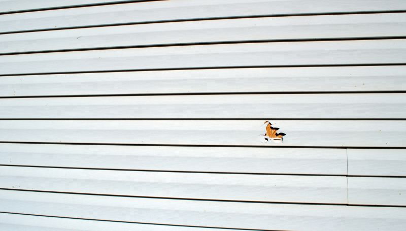 Siding Repair Professionals